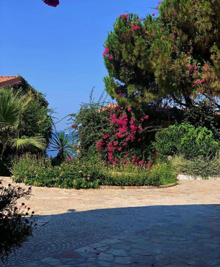 Bellavista Apartments Bougainville Bay Саранда Экстерьер фото